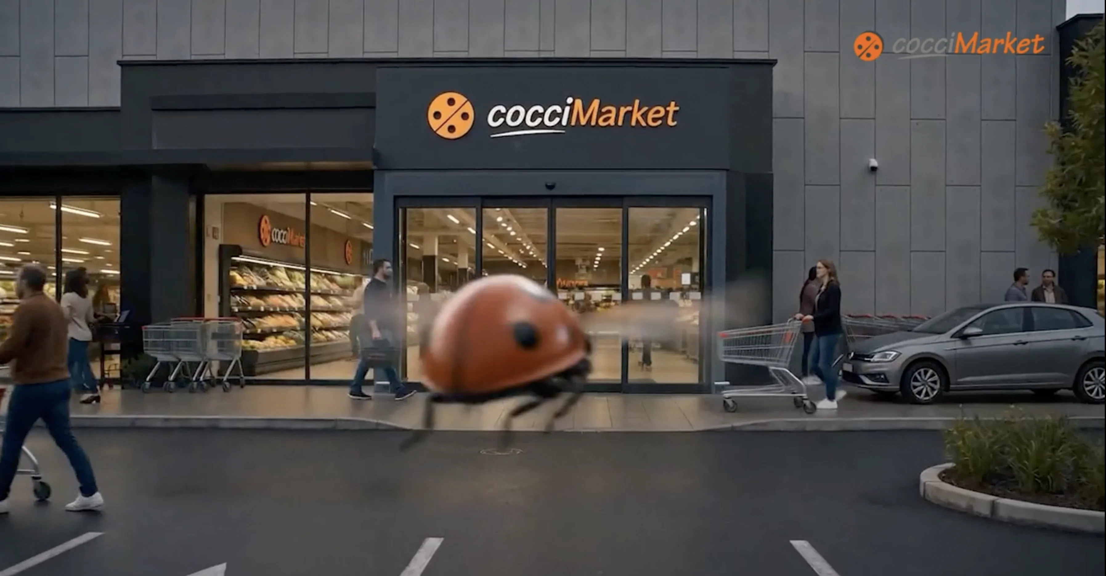 Cocci