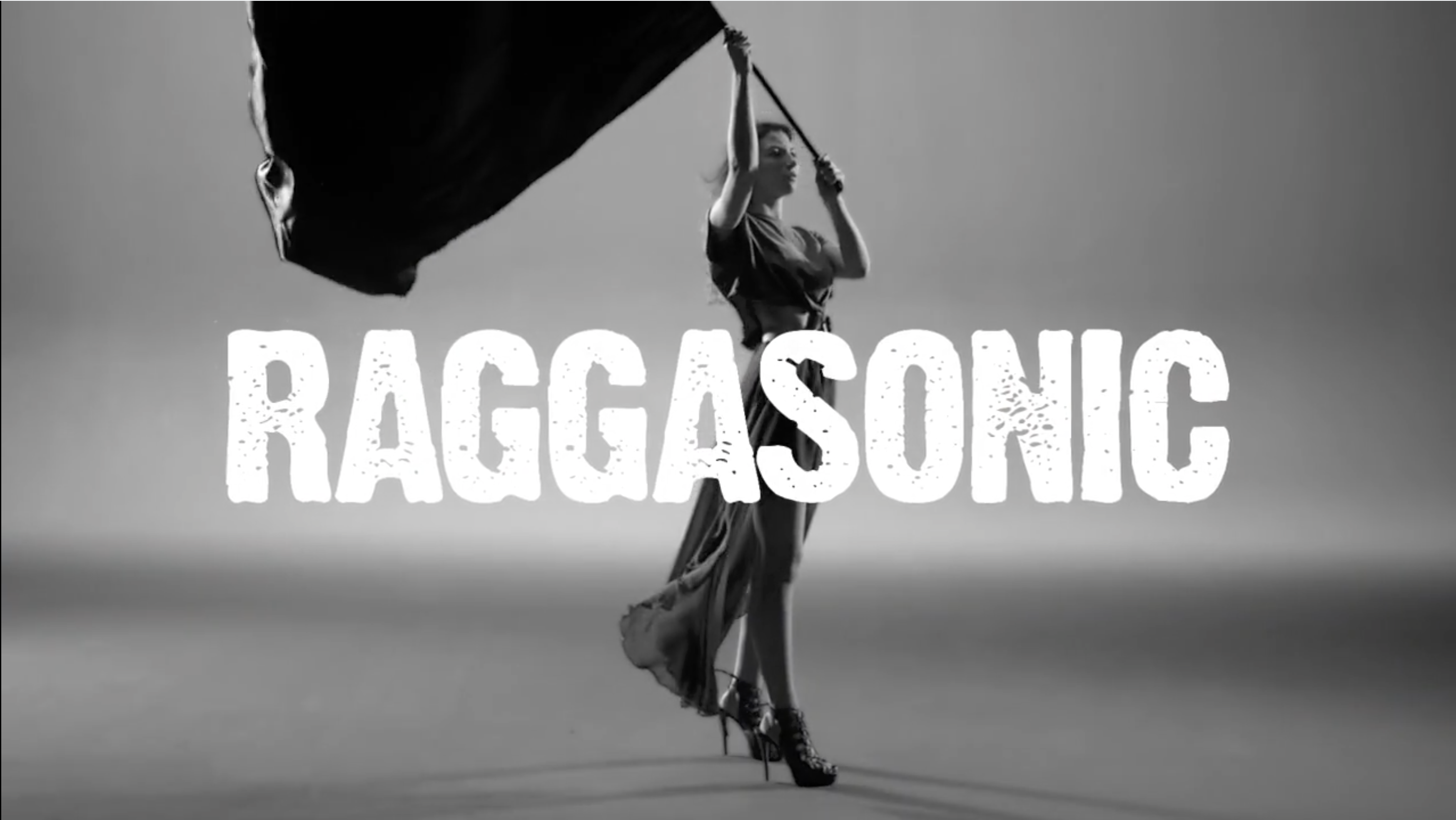Pub - Raggasonic