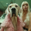 A young woman with long blonde hair is standing in a garage wearing a stylish pink fur coat. She is accompanied by a large dog beside her, adding a touch of warmth to the scene. In the background, there is a white car parked in the garage. The woman''s fashionable outfit contrasts with the utilitarian setting, creating an interesting juxtaposition. The dog''s face is slightly blurry, but its features are still visible. The overall composition conveys a sense of style and companionship in an unexpected setting.
