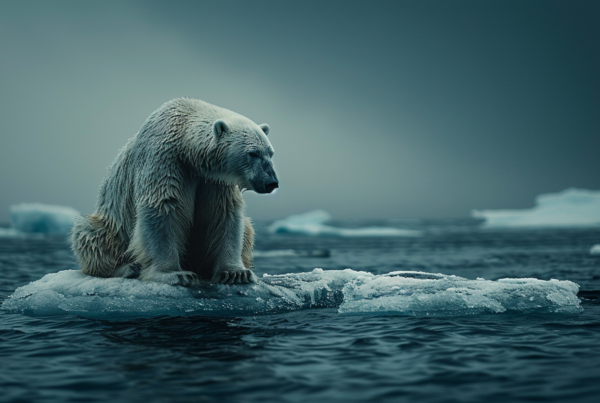 A majestic polar bear is seen sitting confidently on top of a large iceberg in the middle of the ocean. The bear''s white fur contrasts beautifully against the blue water and sky. The iceberg is surrounded by smaller ice formations in the distance. The bear appears calm and observant, with its powerful presence emanating from the image. The scene captures the essence of the bear''s natural habitat and its resilience in the face of harsh Arctic conditions. This peaceful moment showcases the beauty and strength of these magnificent creatures in their icy environment.
